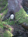 Face In The Tree 