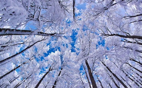 How to install Winter HD Wallpapers patch 1.2 apk for android