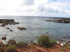 Sharks Cove had amazing snorkeling