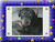 User profile picture thumbnail