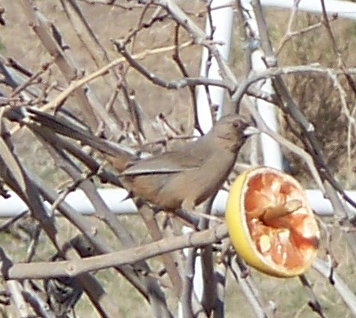 Spotting Image 1