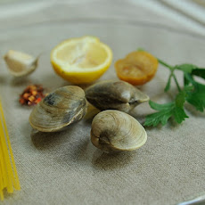 Spaghetti with Clams, Parsley, Garlic, and Lemon (x2)