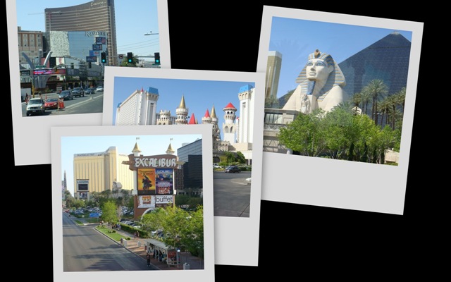 [collage1[3].jpg]