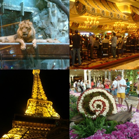 [collage2[3].jpg]