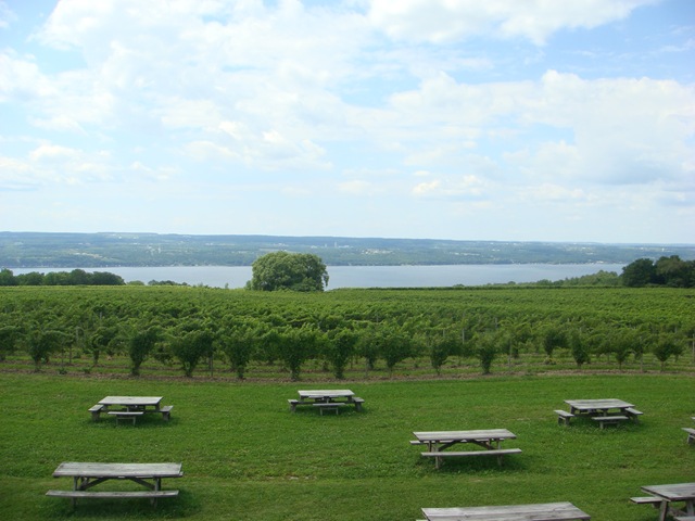 [Wagner winery view by the seneca lake[3].jpg]