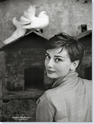 Audrey-Hepburn-Posters
