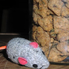 Crunchy Tuna Cat Treats