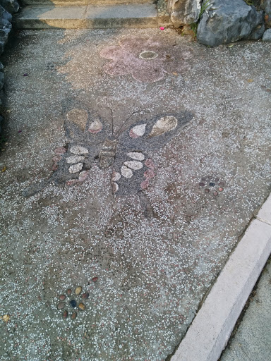 Tuen Mun Park Rock Butterfly Fossil
