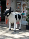 City Cow