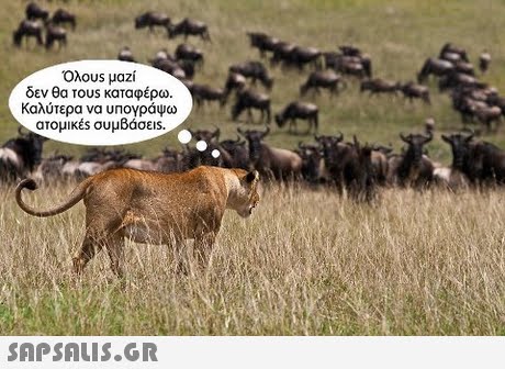 Όλ0us μαζί δεν θα του s καταφέρω. Καλύτερα να υπογράψω ατομικέs συμβάσεις.