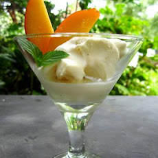 Godiva Liqueur Coupe