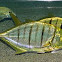 Golden trevally