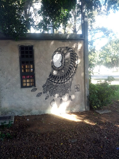 Grafite Indígena