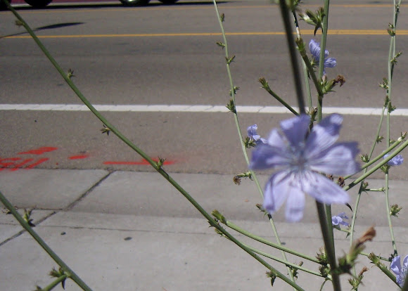 Spotting Image 1