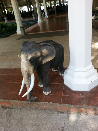 Sudu Araliya Guardian Elephant
