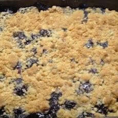 Blueberry Oat Summer Treat