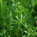 Cleavers