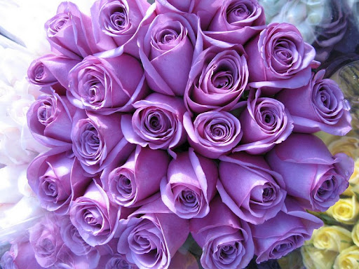 Fun, Entertainment, Wallpapers, Videos, Jokes & mOre Only @ MumbiHangout Visit Us @ www.MumbaiHangOut.Org