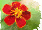 floarep.jpg
