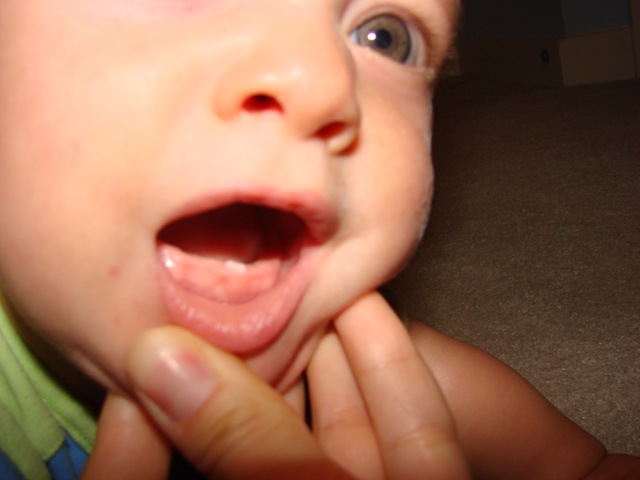 [DSC09909[2].jpg]