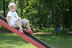 Crab walking up the slide