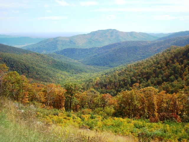 [DSC01005[3].jpg]