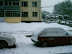 Fist snowfall - November 2004 - taken outside my apartment block