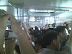 07291320 (Medium).jpg