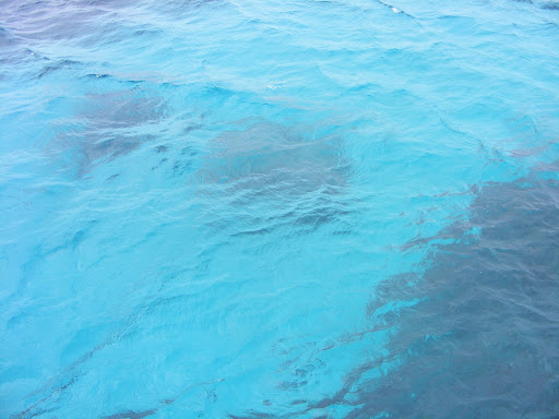 Great Barrier Reef