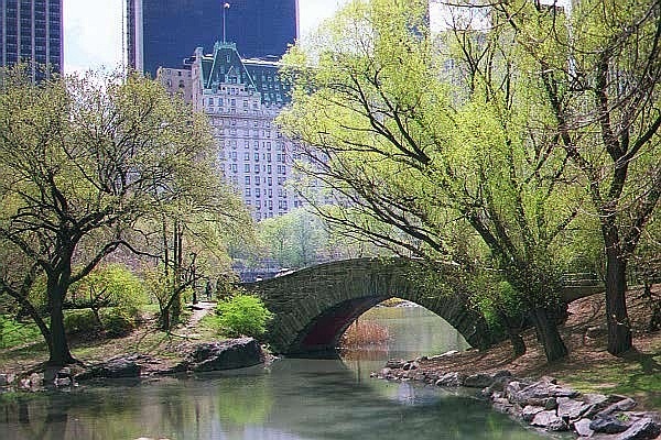 [NYispring_CentralPark_cfiles30033[12].jpg]