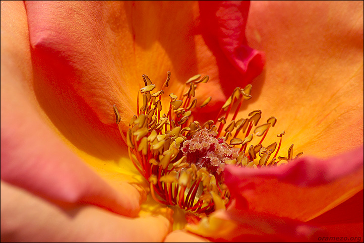 080815-057-w.jpg