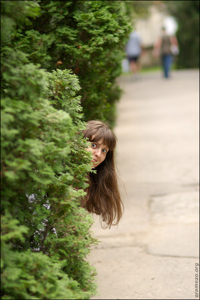 080807-100-w.jpg