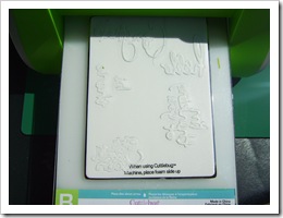 tutorial cuttlebug 5-08-2008 12-23-55