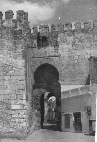 [carmona03[2].jpg]