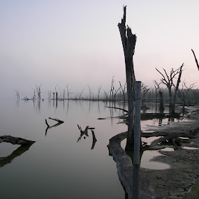 Lake in dry season by Raymond Earl Eckert - Landscapes Waterscapes