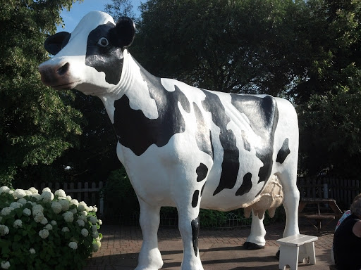 Jilberts Dairy Cow