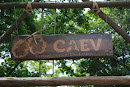 Placa do CAEV