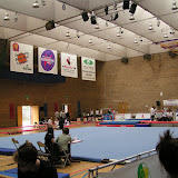 Roses 2008