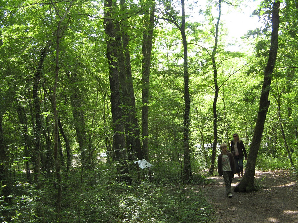 [Bush_walk[3].jpg]