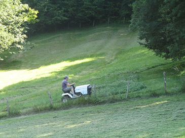 Grass