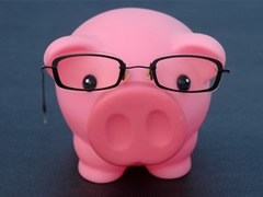 [cochinito-inteligente[3].jpg]