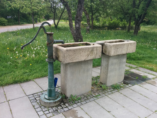 Pump Brunnen