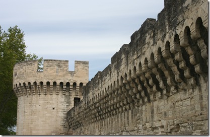 Pont du Guard and Avignon 026
