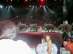2008 Circus &ndash; 