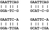 Gene alignment