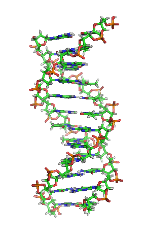 [DNA_orbit_animated[7].gif]