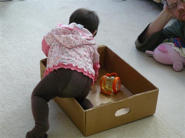 [box03[2].jpg]