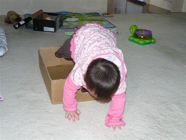 [box05[2].jpg]