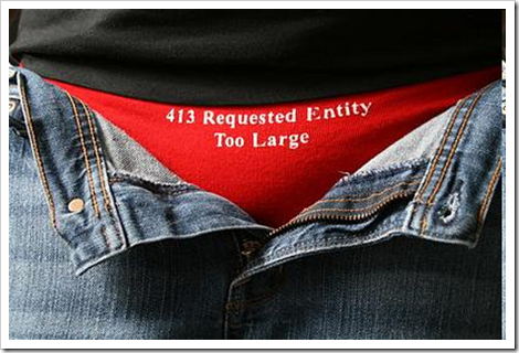413 requested entity too large red panties