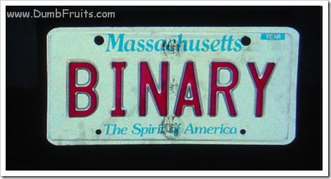 geeky licence plate : binary code